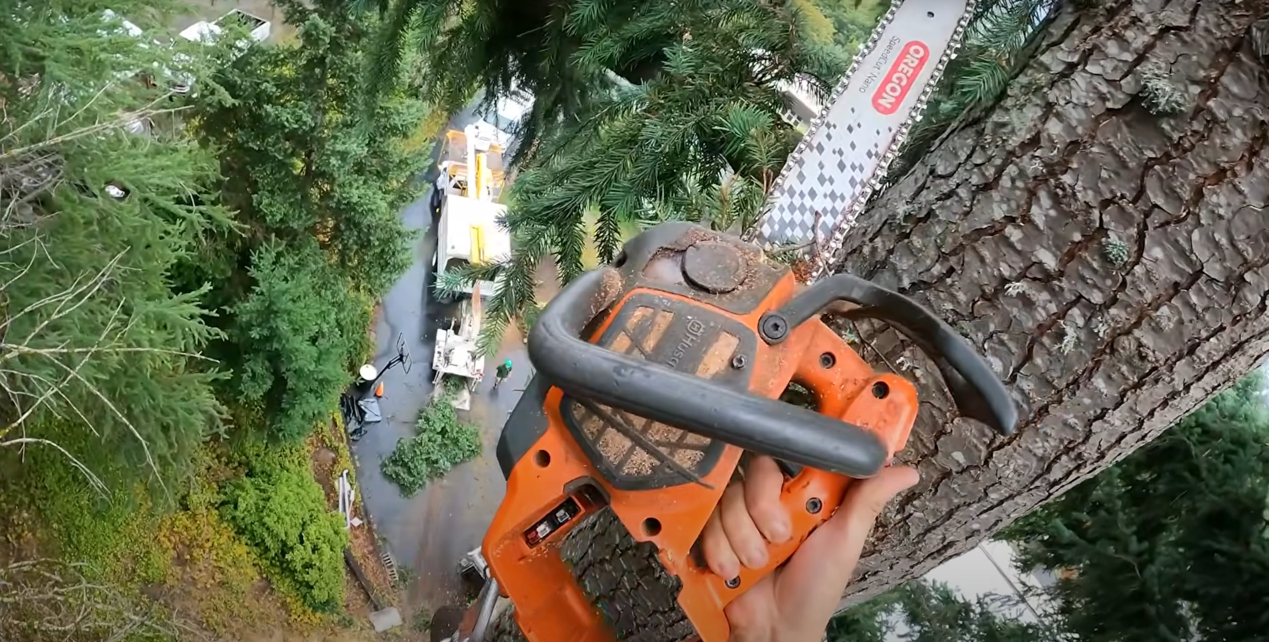 Professional tree removal specialist using chainsaw to safely remove large tree in Hobbs, NM